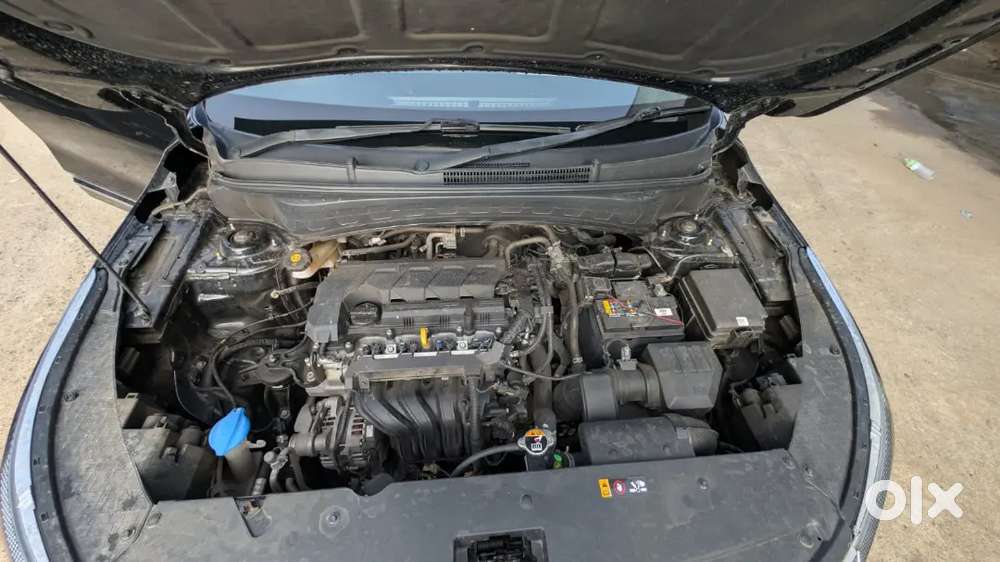 Kia Seltos 2023 Petrol Well Maintained