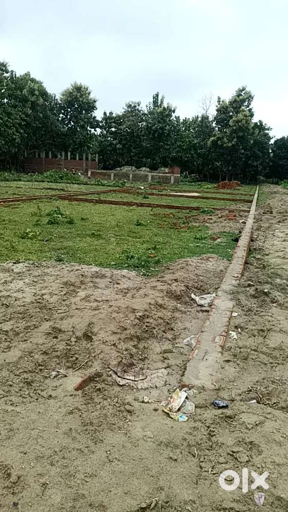 Padruna katnwar rod KL school ke paas