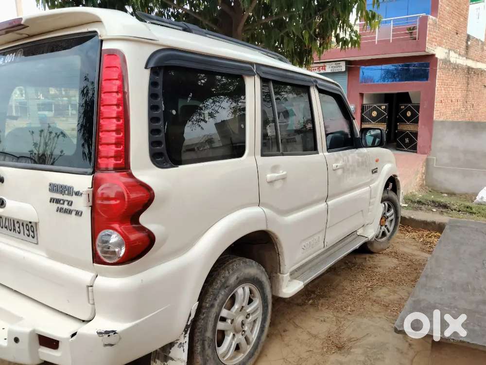 Body Condition 1 Number Condition