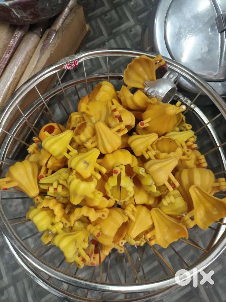 Modak mould