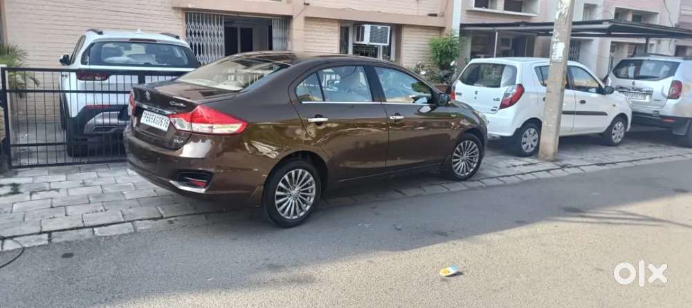 Maruti Suzuki Ciaz 102016 Petrol 51000 Km Driven