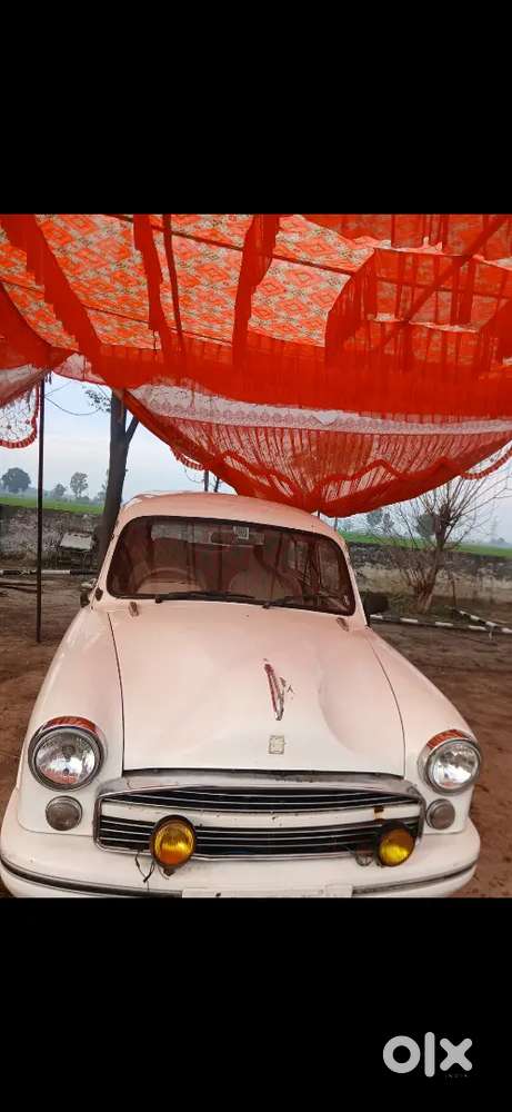 Ambassador Ambassador 2011