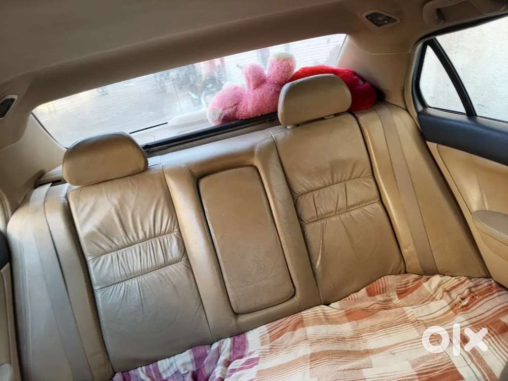 Accord Cng + Petrol 2006