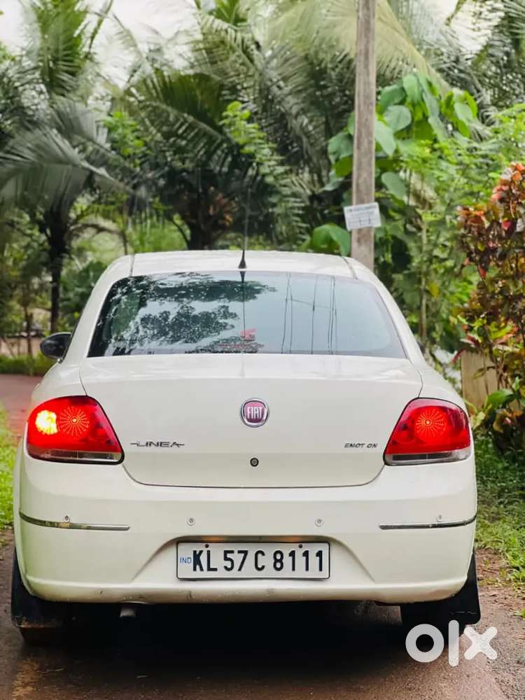Neat And Clean Low Kilometers, Paper Up To 2031
