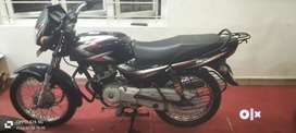 Olx bajaj ct clearance 100