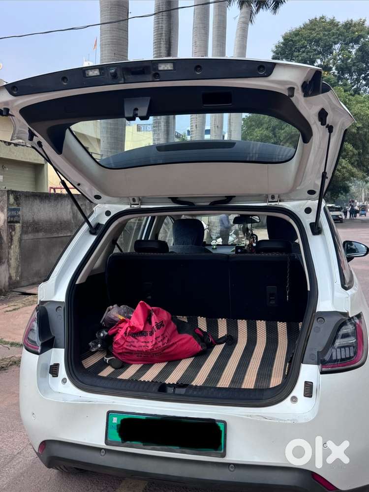 Mg Windsor Ev Single Hand Use