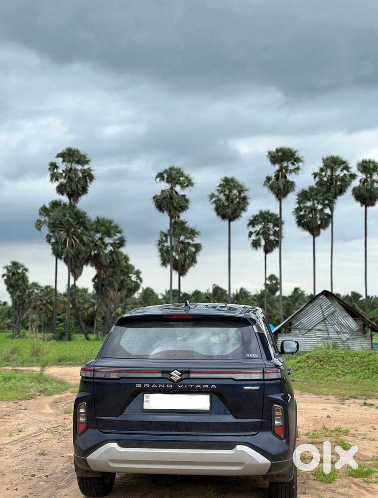 Maruti Suzuki Grand Vitara 2023 Petrol Well Maintained