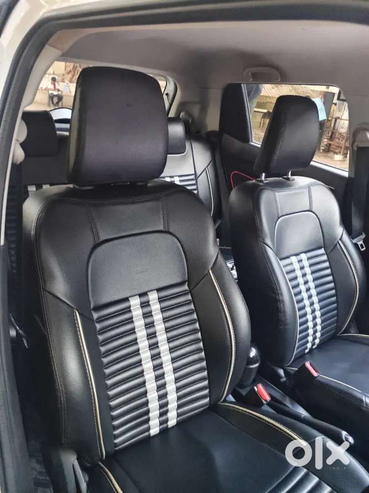 Swift 2024 (2 Year Old)
