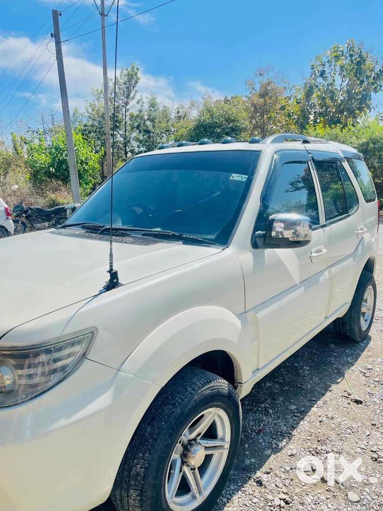 Safari Strome Full Modified