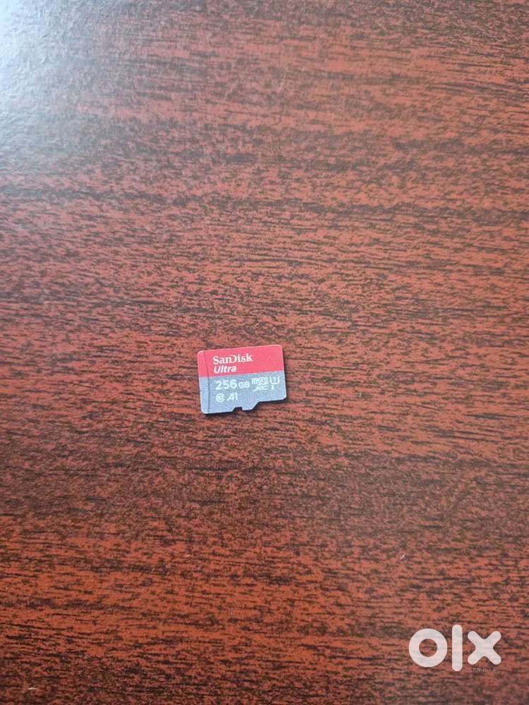 Sandisk ultra 256 gb