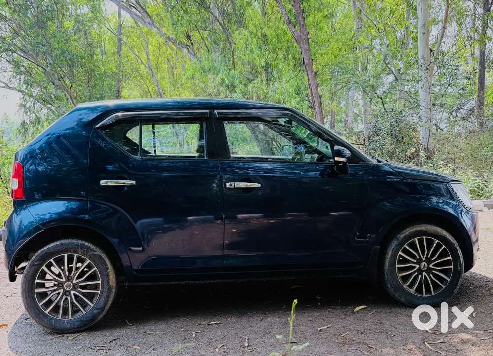 Maruti Suzuki Ignis 2019 Petrol 38000 Km Driven