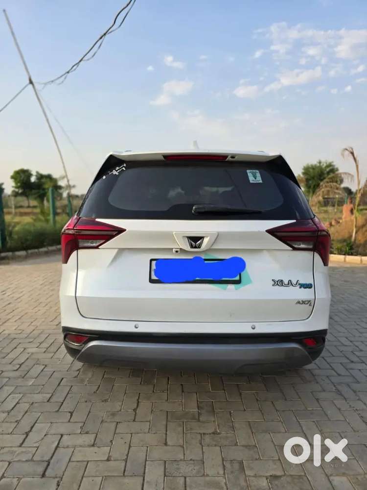 White Beast