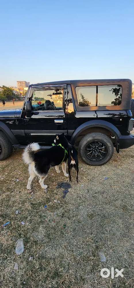 Mahindra Thar Lx Petrol Auto 4*4 Fully Modified With Ppf