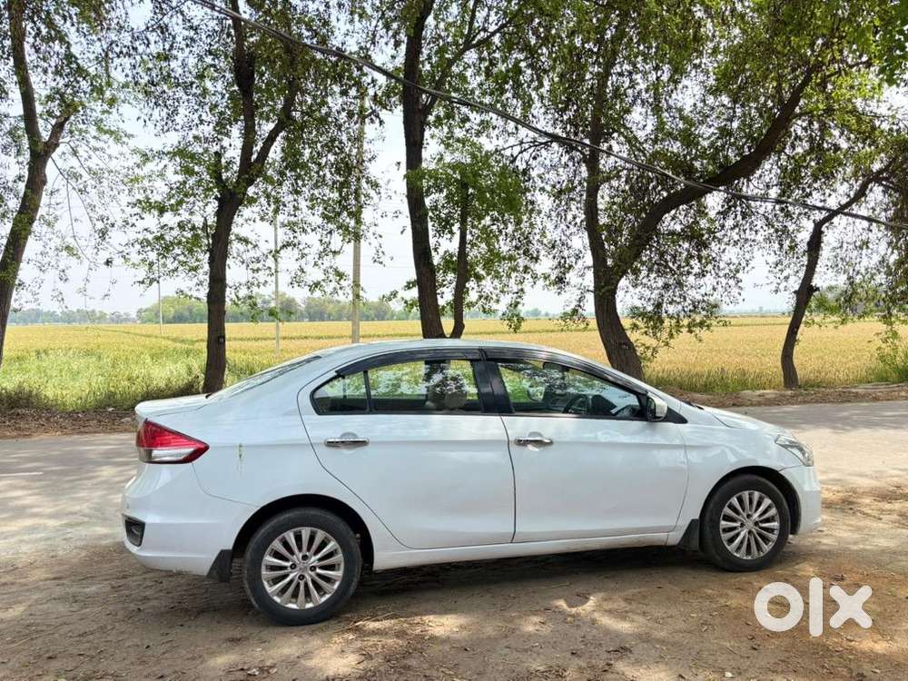 Maruti Suzuki Ciaz 2015 Diesel Well Maintained