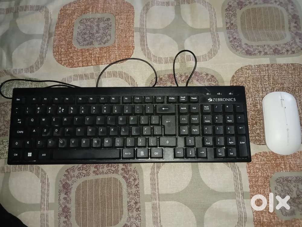 Wireless mouse and Wire keyboard