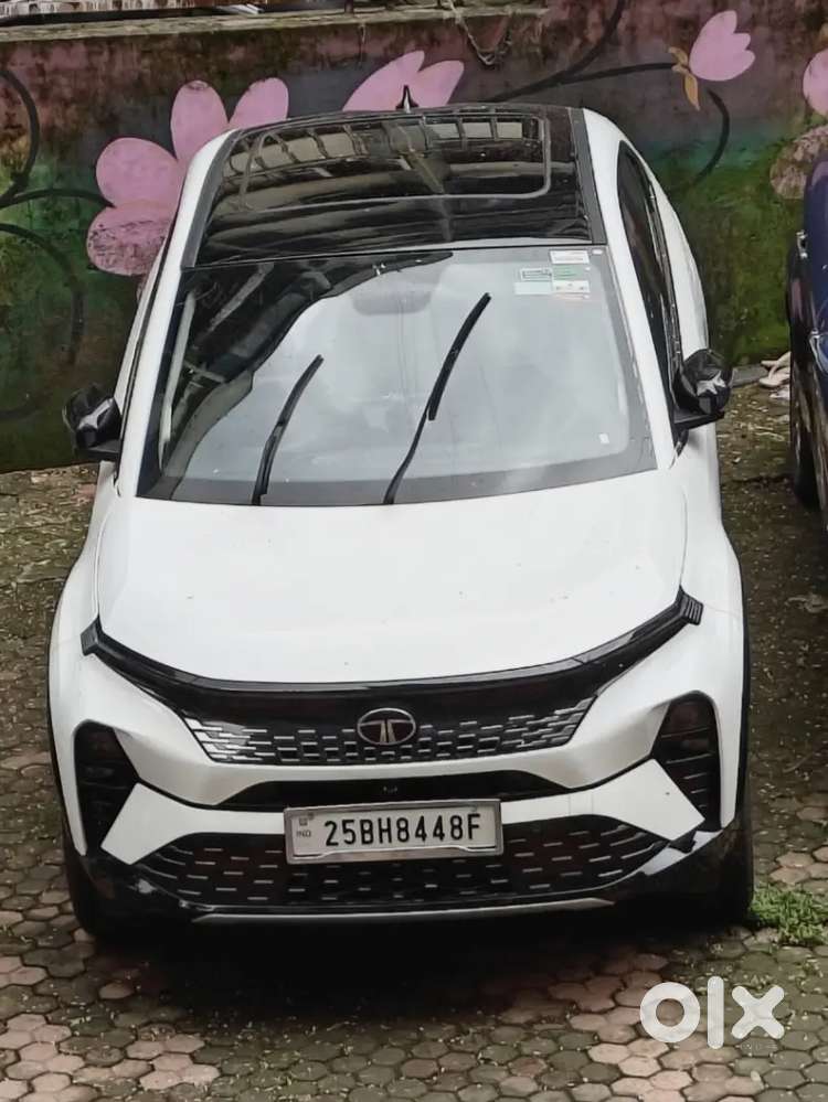 Showroom Condition, Tata Curvv Creative Plus S Petrol 2025