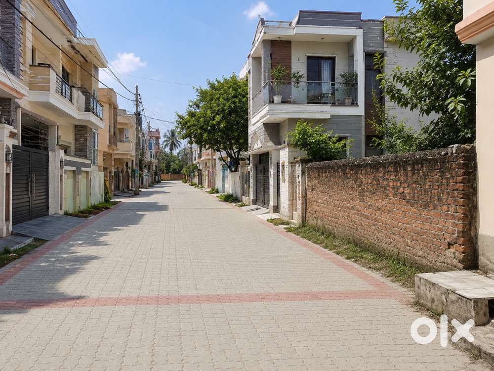 Plot Sale Tedipuliya (Near)--Kalyanpur