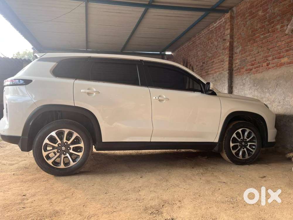 Maruti Suzuki Petrol 2024