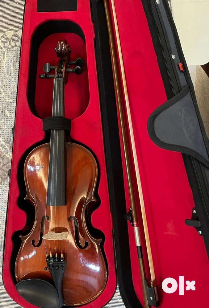 Raga violin price new arrivals