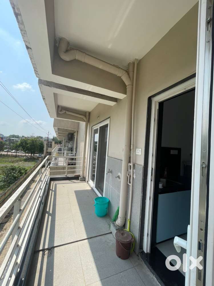 1 bhk flat for rent