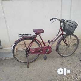 Bicycle for sale adults olx