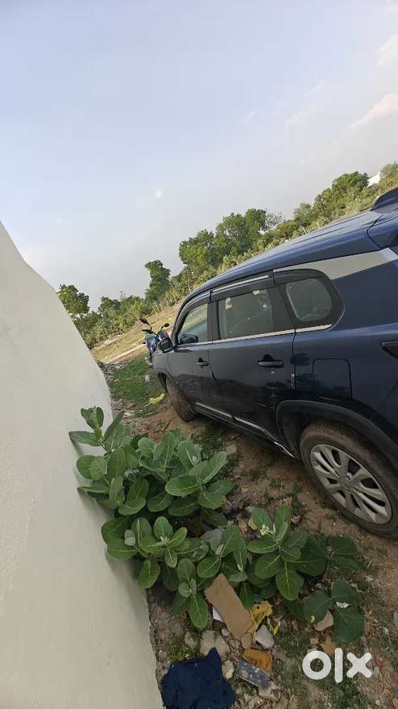 Maruti Suzuki Vitara 2023 Hybrid Manual