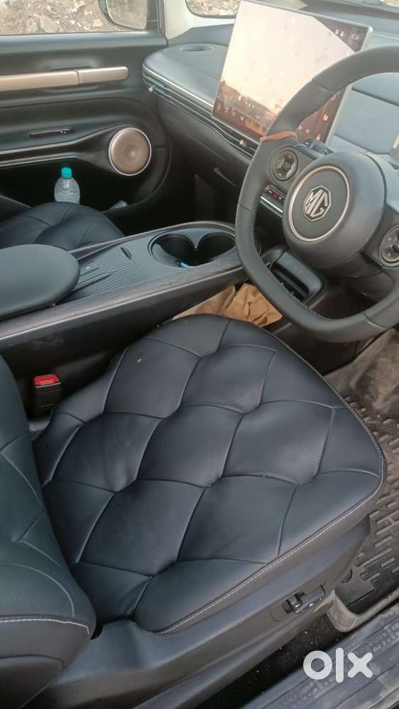 Mg Windsor Ev Essence 2024