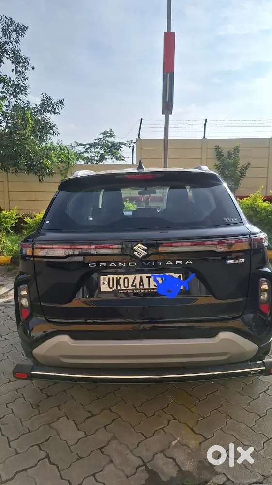 Maruti Suzuki Grand Vitara 2026 Petrol 1300 Km Driven