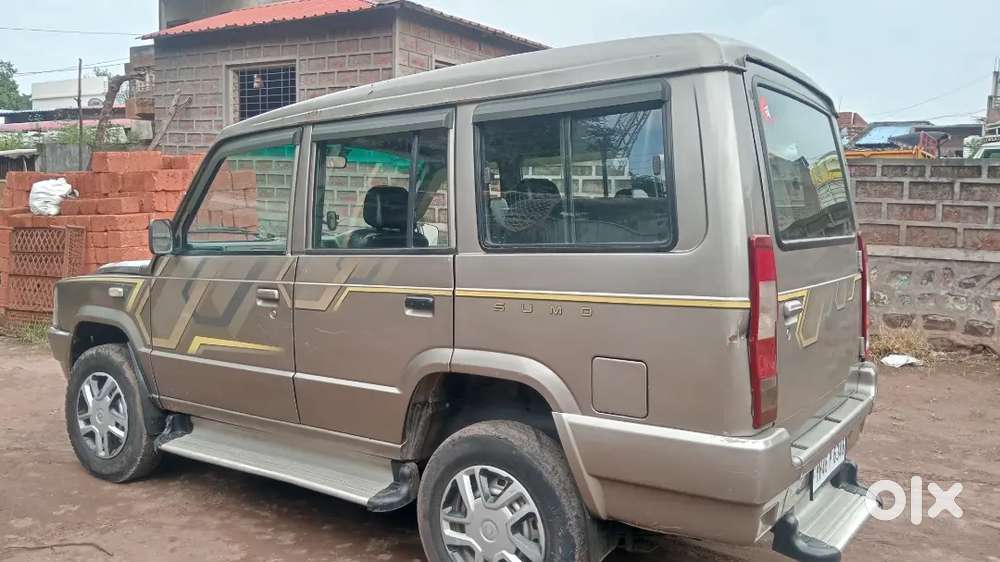 Sumo Gold Di