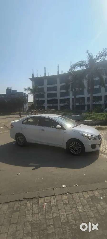 Maruti Suzuki Ciaz Diesel 2016