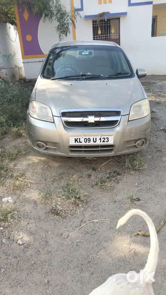 குட் கன்டிசன்