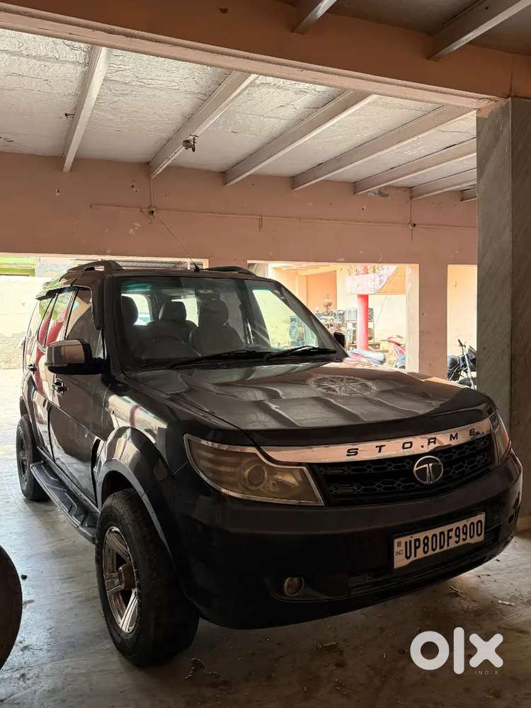 Vip Condition Top Model Safari Storme