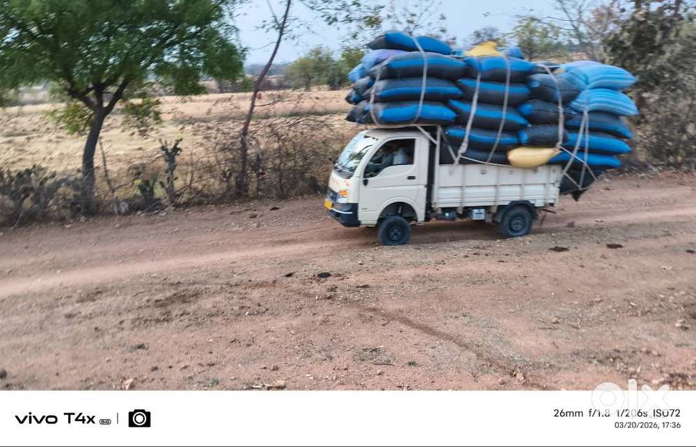 Brand Tata Model Ace Gold Petrol Age 2year