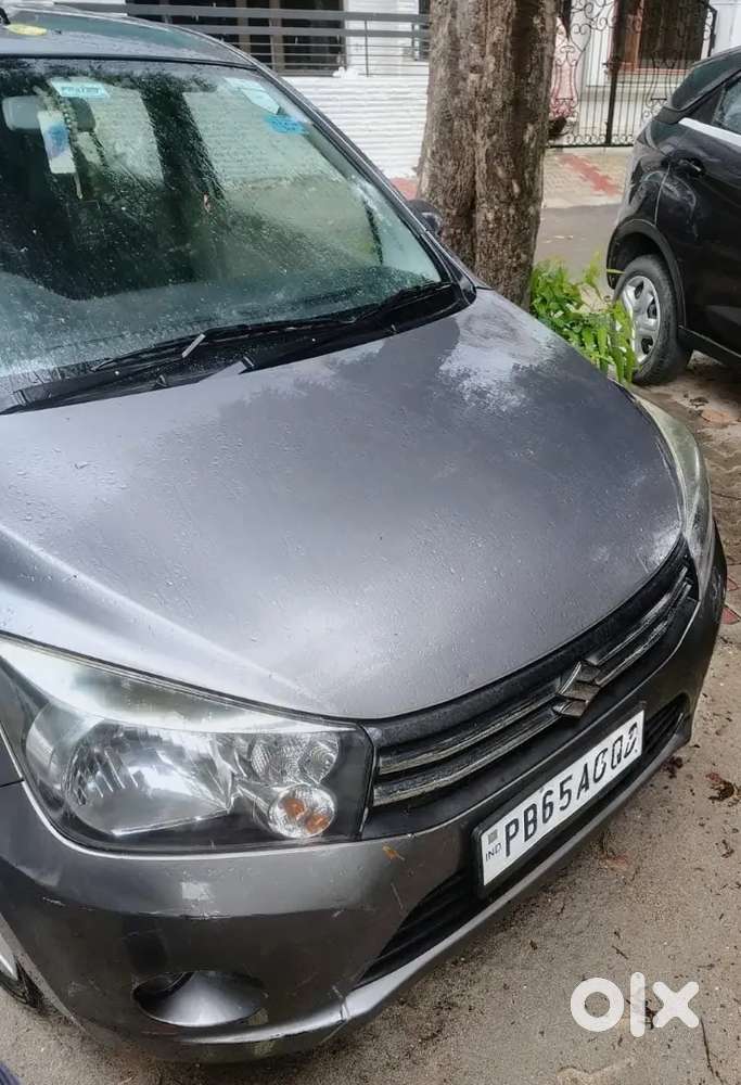 Women Bank Officer Maruti Suzuki Celerio Zxi(o) 2017