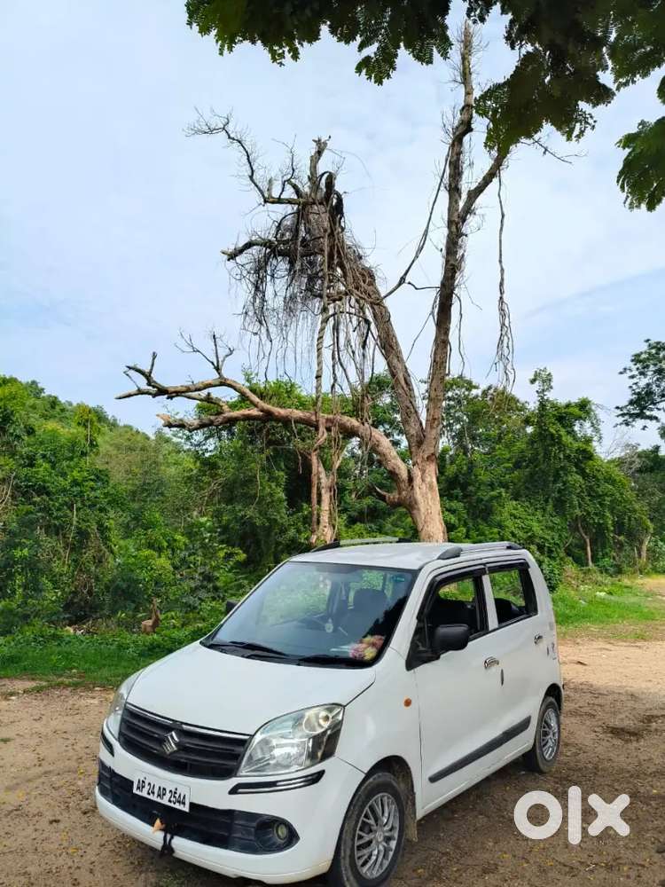 Maruti Suzuki Wagon R 1.0 2013 Petrol 90000 Km Driven