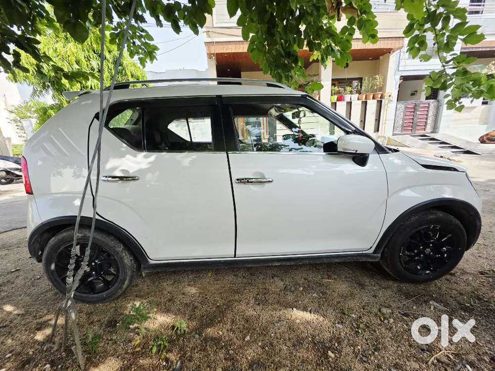 Maruti Suzuki Ignis 2024 Petrol 21000 Km Driven