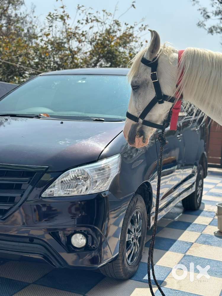 Toyota Innova 2011 Diesel Good Condition