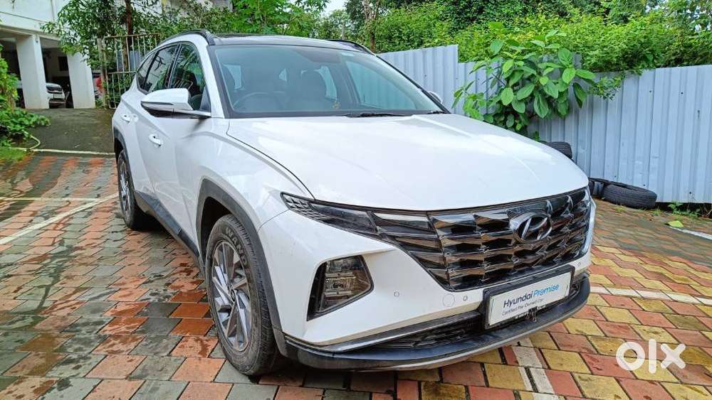 Hyundai Tucson 2.0 Platinum Petrol At, 2024, Petrol