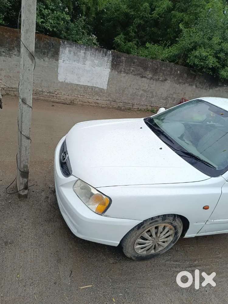 Good Candidan
