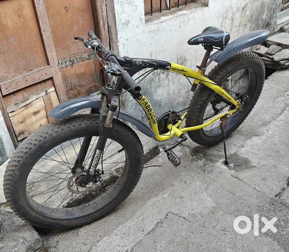Fat tyre bicycle