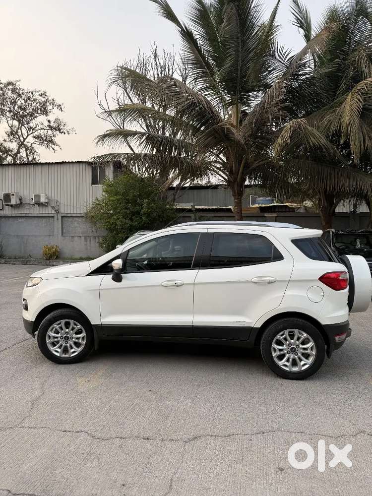 Ford Escort  Shoroom Maintain