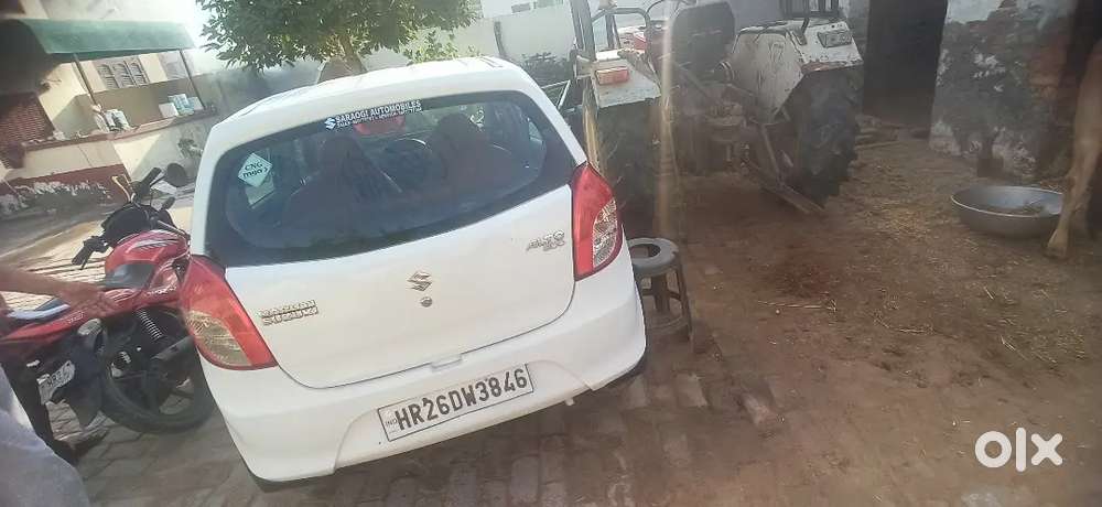 Maruti Suzuki Alto 800, 2019 Cng & Hybrids
