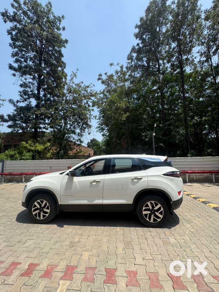 2023 Harrier Diesel Harrier Automatic Plus