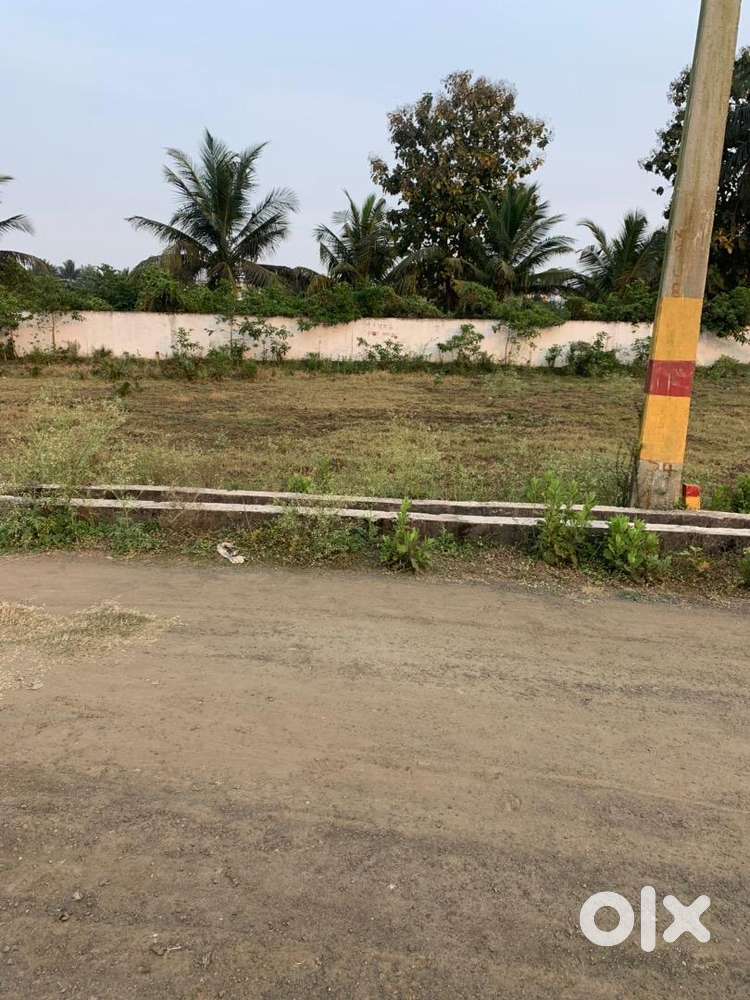 Site For Sale in amalapuram Lands & Plots 1720299073