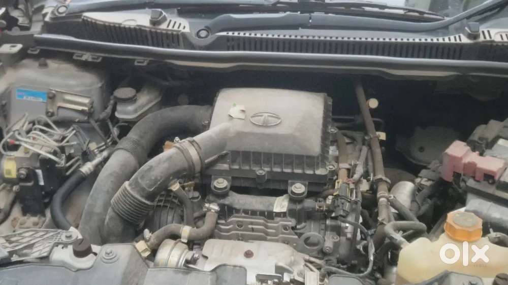 Tata Nexon 2024 Petrol Good Condition With Sonroof
