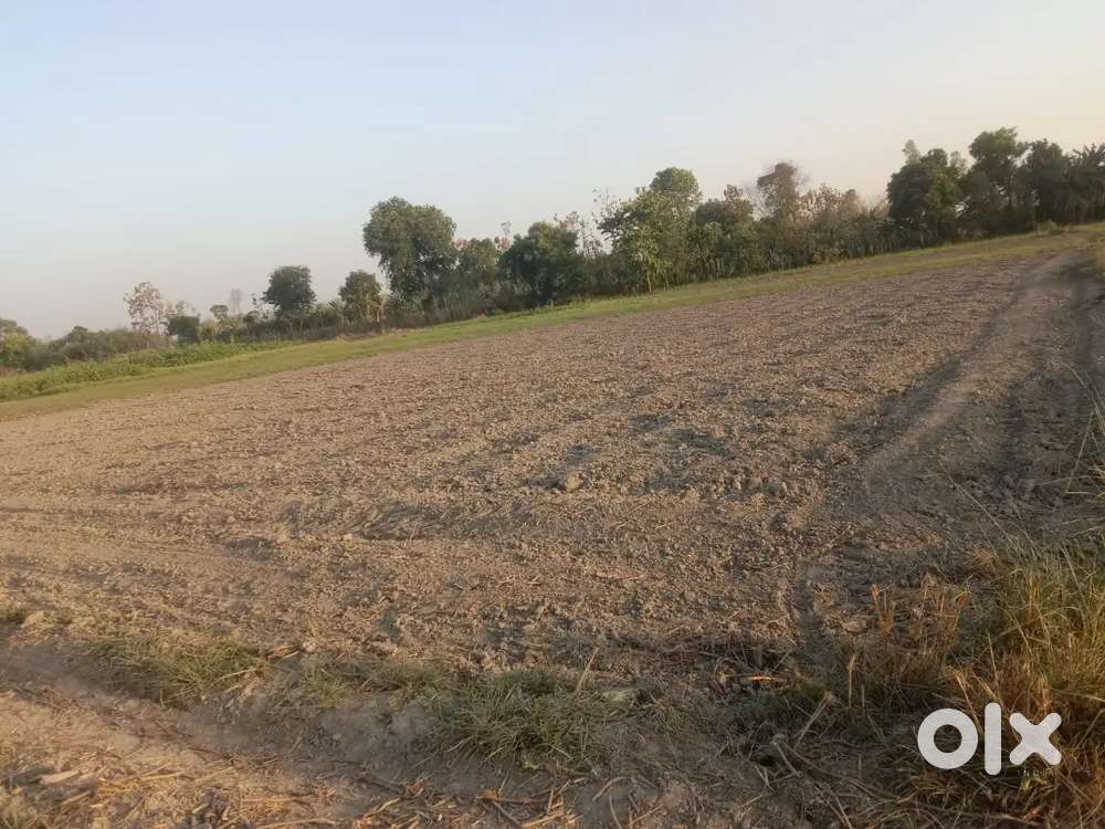 Residential and agricultural land