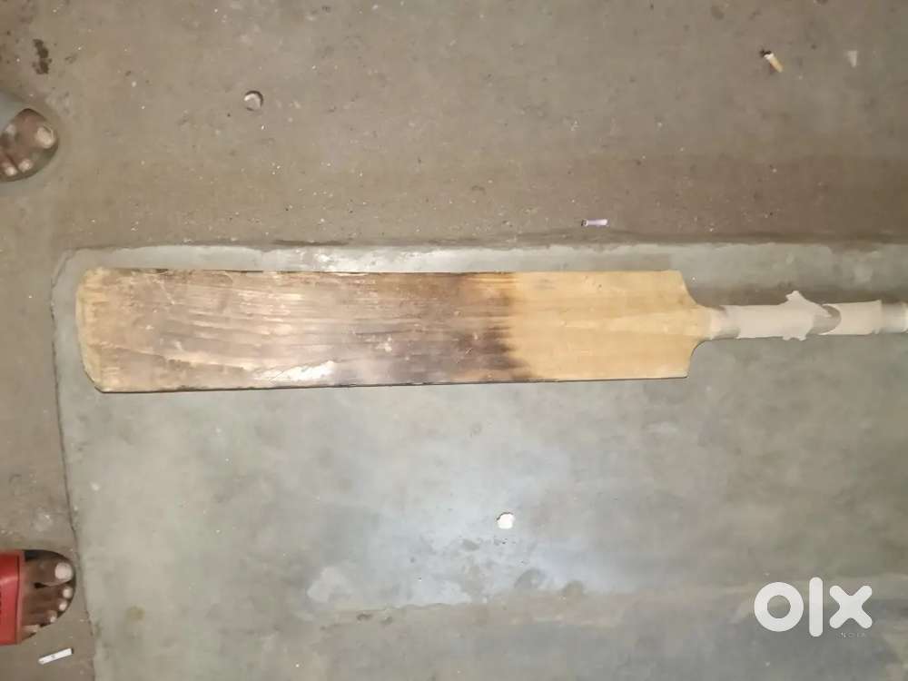 Alien Cricket Bat