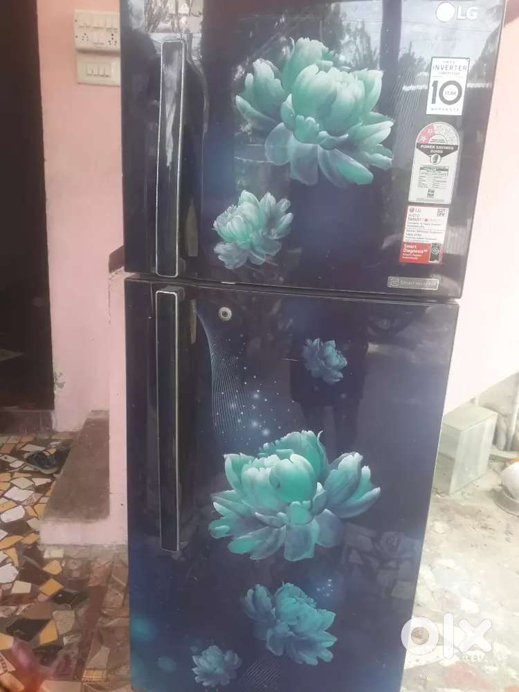 LG double door fridge