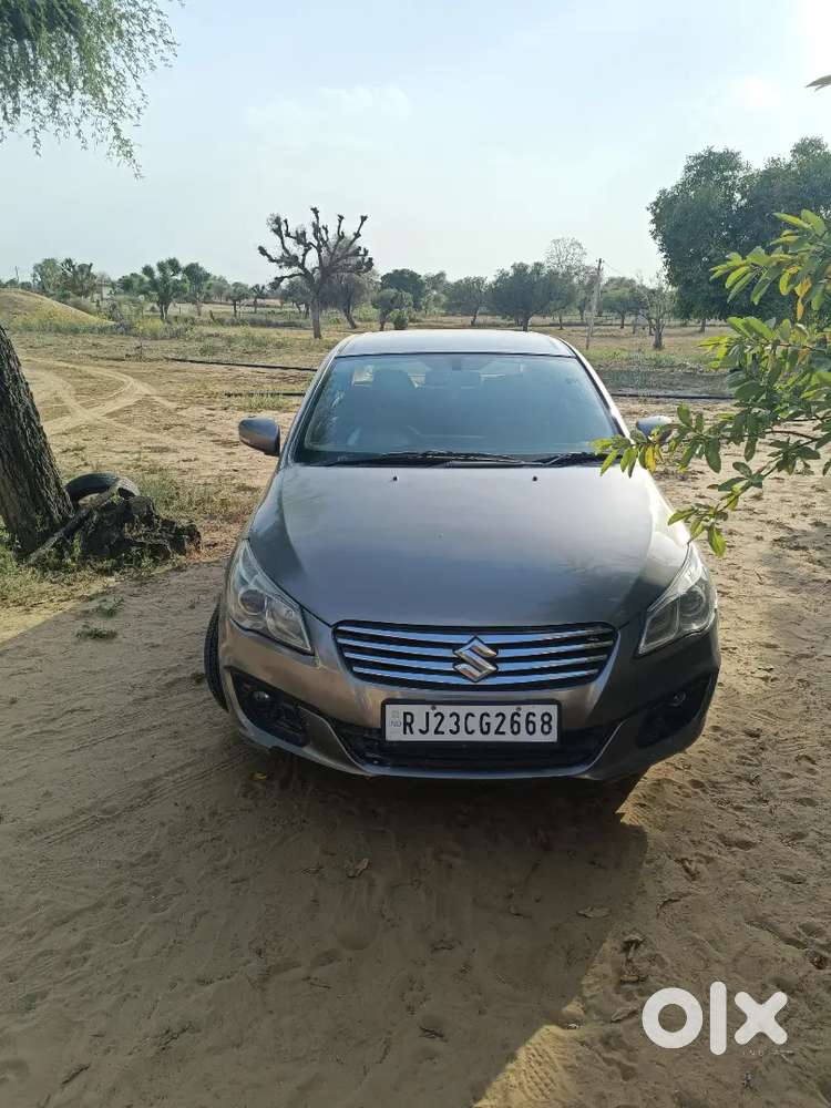 Ciaz Zdi Shvs