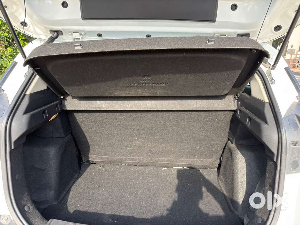 Tata Nexon Petrol 2024